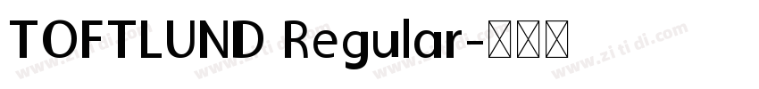 TOFTLUND Regular字体转换